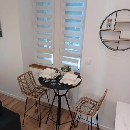 Apartment : Superbe Studio Refait A Neuf *